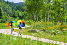 올 여름방학 국립백두대간수목원에서 ‘산촌숲캉스’ 즐겨요