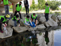 경산시자연보호협의회, 남천 미꾸라지 방류·정화 활동 실시