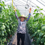 강소농 현장을 가다<92>더팜 상주고추연구소