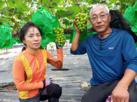 강소농 현장을 가다<93>송이송이농장
