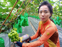 강소농 현장을 가다<93>송이송이농장