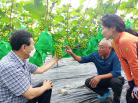 강소농 현장을 가다<93>송이송이농장