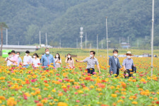 산소카페 청송정원 북적…전국 최대 백일홍화원 1일 개장
