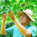 강소농 현장을 가다<95>청하다래농원