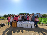 경산시 와촌경로분회, 행복농장 고구마 경로당 전달