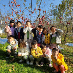 성주 초전초병설유치원생 사과따기 체험