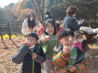 성주군 벽진초등학교 병설유치원, 숲높이 체험 학습 행사 진행