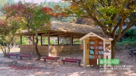 새로운 문화 창고안동시립중앙도서관