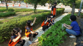 우리학교는요…대구내당초등학교
