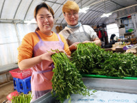 강소농 현장을 가다<104>청도 빛나농장