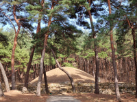 신라사람들 (5) 박아달라왕