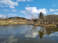 하늘 맞닿은 초원…핫플레이스 떠오른 경주 오케이목장