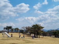 하늘 맞닿은 초원…핫플레이스 떠오른 경주 오케이목장