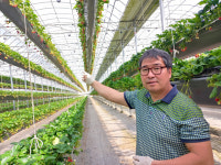 강소농 현장을 가다<109>하늘딸기농원