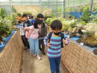 경산 다문초교생, 대구수목원에서 체험학습