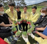 상주 ‘작은 도시 큰 행복 만들기’, 반송 후계목 식재