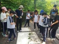 경산 청천초, 칠곡숲체원 연계 탄소중립 체험학습