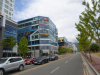 경매정보