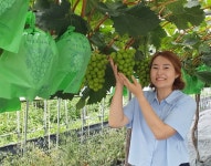 우리동네 명품일꾼〈66〉구미농업기술센터 최수정 특화농업계장