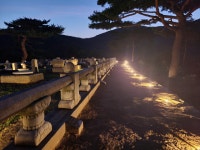 은은한 불빛의 향연…세종대왕자태실 야간 명소로