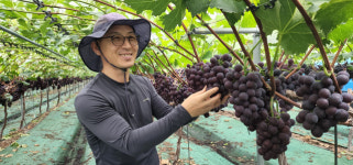 강소농 현장을 가다<118>명신포도원