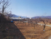 경매정보