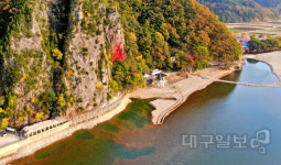 꿈 꾸는 듯한 몽환적 공간…울진 성류굴에는 유쾌함이 있다