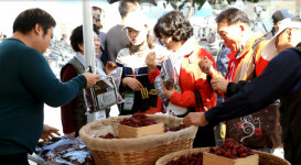 경산대추＆농산물 한마당축제 22~23일 개최