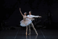 대구경북발레페스티벌, 30일 어울아트센터