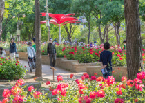 지금, 우리 지역 역점사업〈3〉대구 서구