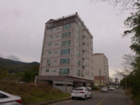 경매정보