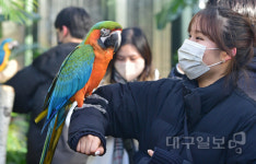이월드 앵무새 “안녕하세요”