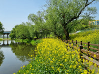 경주 금장대 산책로 인생샷 명소로 떠올라