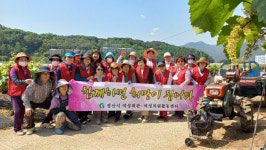 경산시 여성자원활동센터 농촌일손돕기 봉사활동