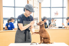국내유일 양·한방 동물전문가 양성…대구한의대 반려동물보건학과
