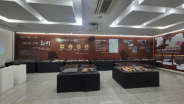 대구·경북 공룡 발자국 화석, 고산도서관에서 만날 기회