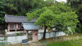 스토리로 만나는 경북 문화재 (12 ) 육영재…육영재에서 오늘의 교육을 생각하다