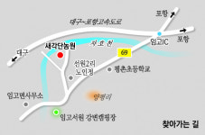강소농 현장을 가다 (140회) 새각단농원