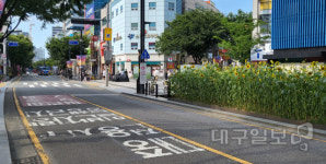 [대구일보가 간다]무너진 대구 중심 상권 그리고 대중교통전용지구