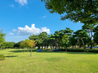 경주시 787억 원 들여 신개념 카페형의 복합문화도서관 건립