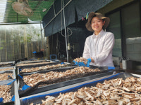 강소농 현장을 가다 (145)  ‘백두표고’· ‘청년농부의 표고칼국수’