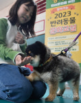 찾아가는 반려동물 문화교실 열려...