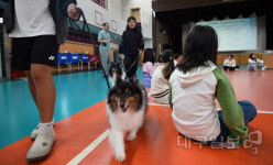 찾아가는 반려동물 문화교실 열려...