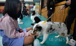 찾아가는 반려동물 문화교실 열려...