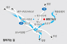 강소농 현장을 가다 (147)   ‘볼빨간농장’