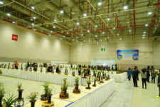 한국 춘란엽예품 전국 전시·박람회, 오는 11~12일 구미코에서 열려