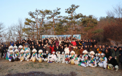 청도군 갑진년 해맞이 행사