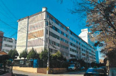 2월5주 대구경북 관심물건