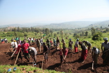 새마을재단, 연차보고서 발간