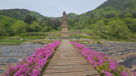 상주시 화북면, 상오리 칠층석탑의 봄